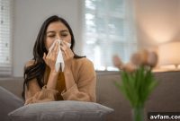 Home Allergy Hotspots: Where Allergens Hide and How to Reduce Them