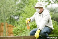 How Seasonal Pest Control Prevents Year-Round Home Infestations