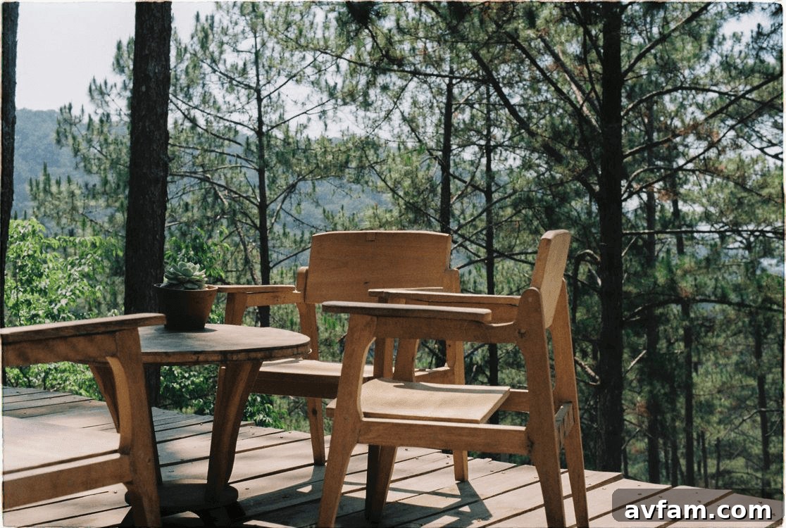 Build a Long-Lasting Outdoor Deck: Expert Tips 2 Two chairs on a durable wooden deck