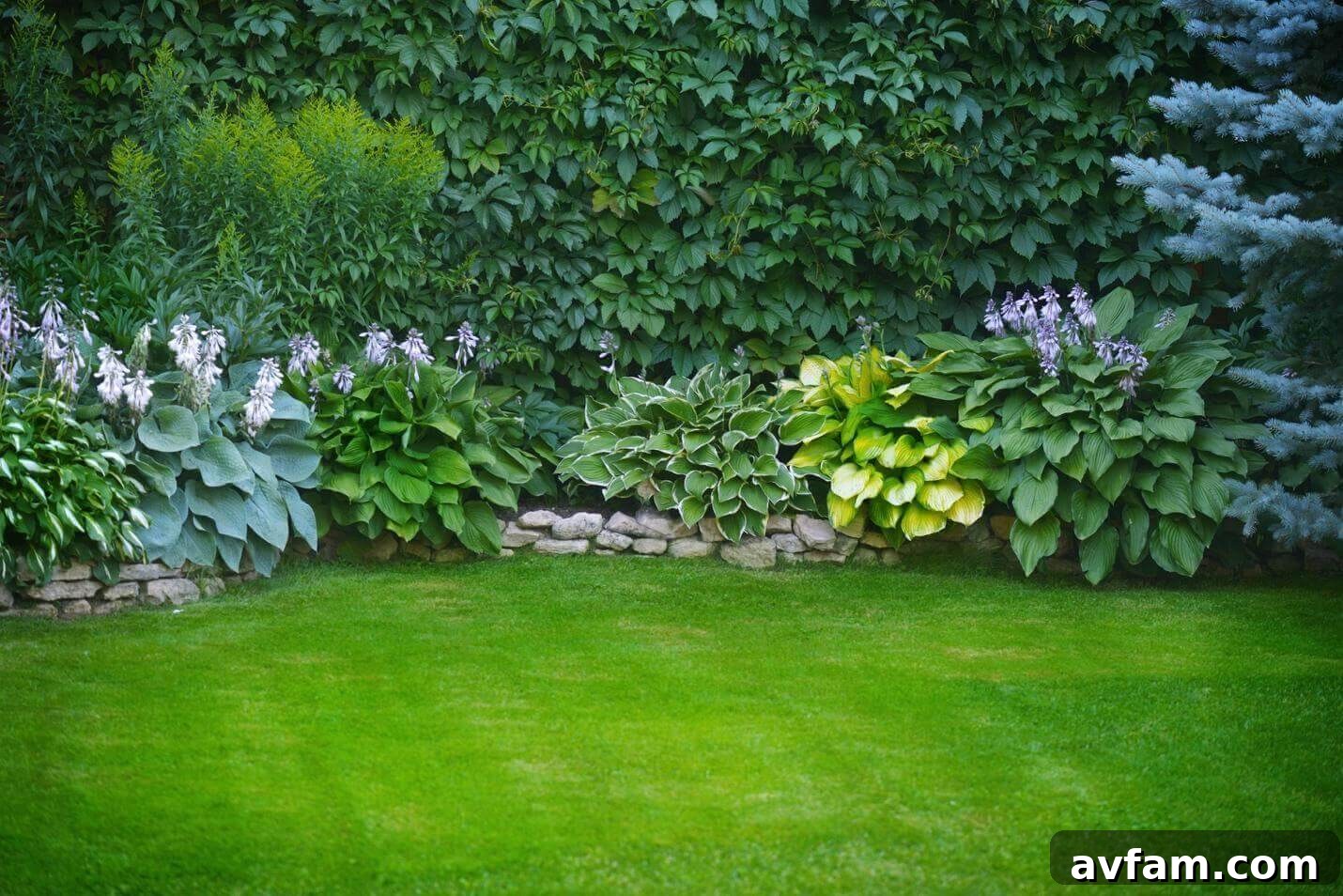 Beautiful Yard