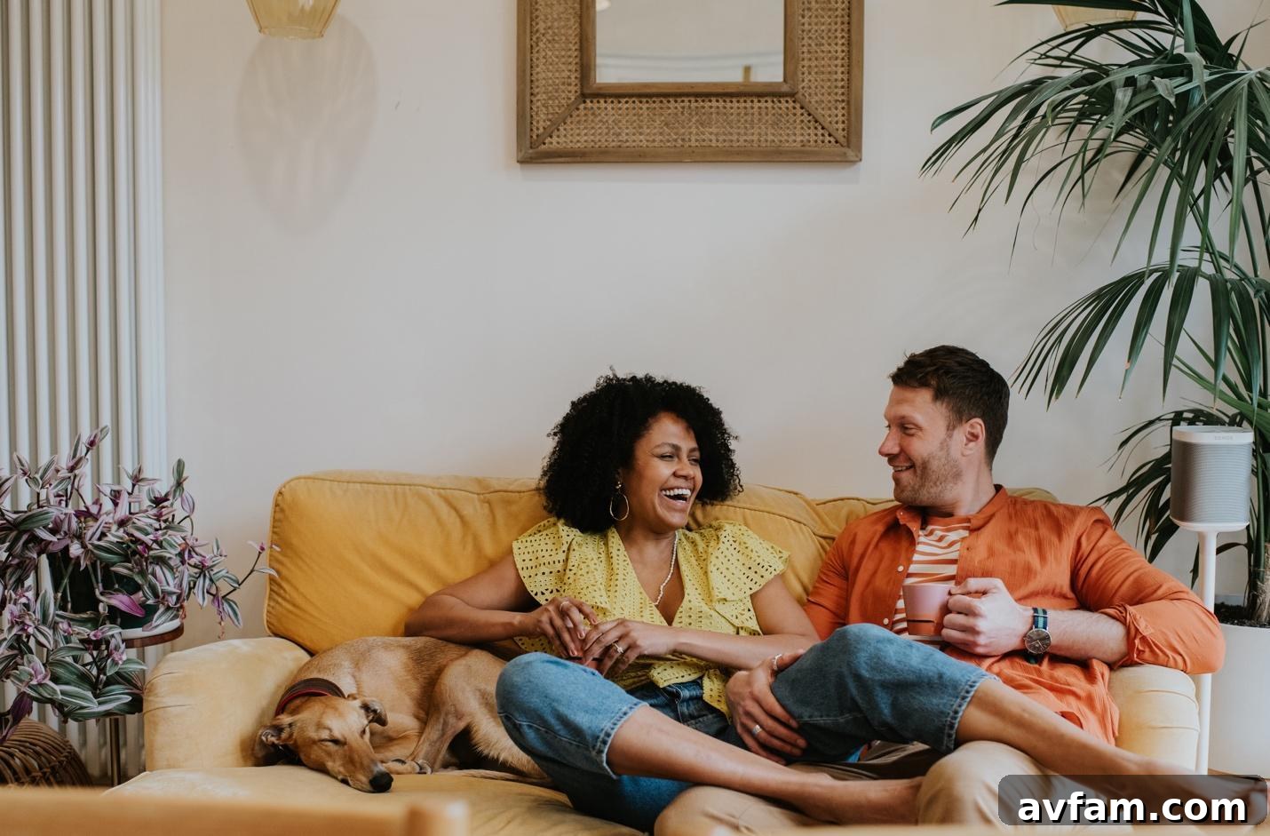 Home Allergy Hotspots: Where Allergens Hide and How to Reduce Them 2 Laughing couple with dog sitting on sofa