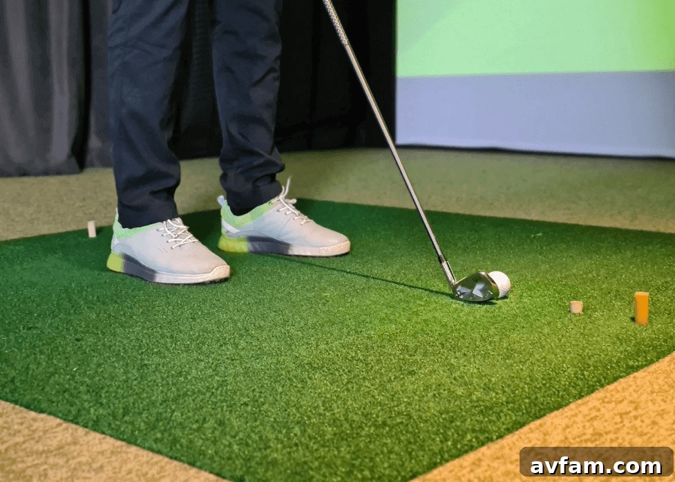 Indoor Golf Simulator