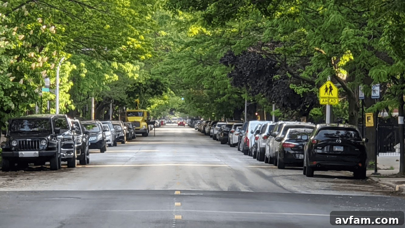 A row of cars parked on the side of