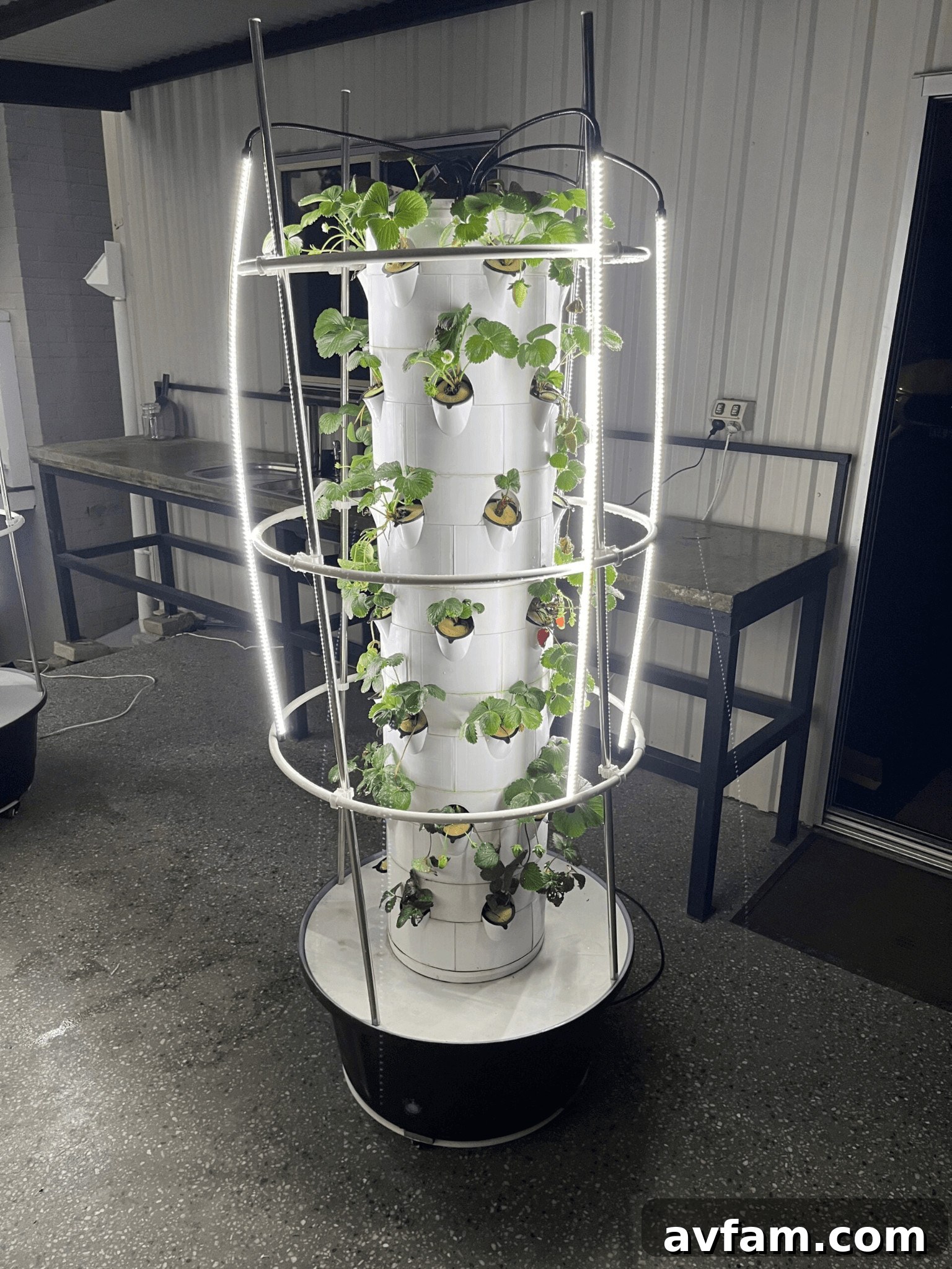 White tower garden with plants growing inside.