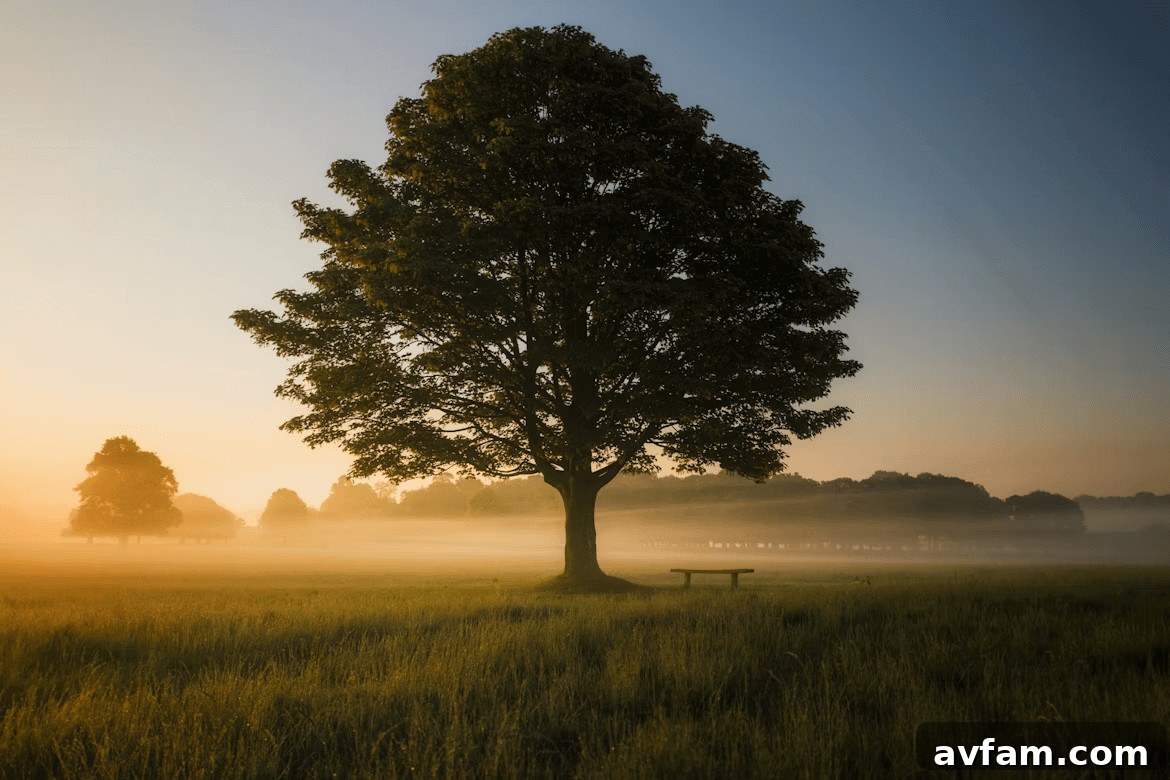 Healthy urban tree