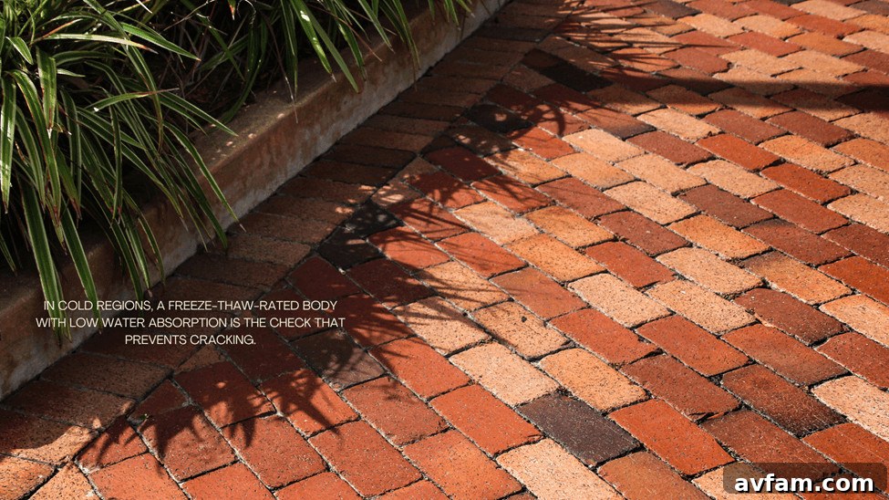 Outdoor red brick paving with grass growing between the