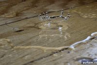 Immediate Steps to Take After Water Damage in Your Home