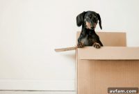 Smart Moving Tips to Make Your Home Move Smoother