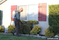 Modern Pest Control Trends Every DIYer Should Know