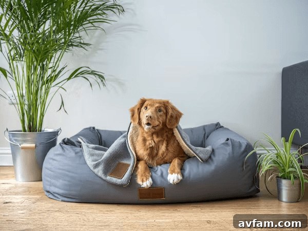 featured 37838