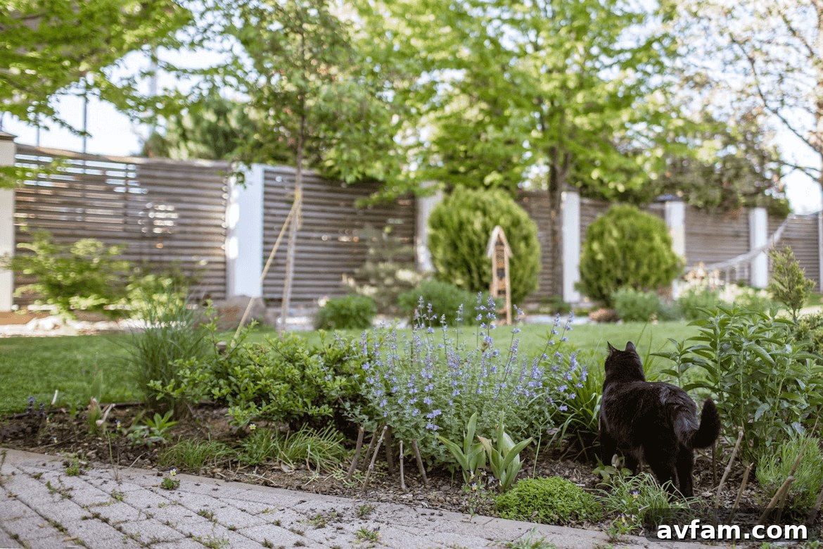 Residential Garden