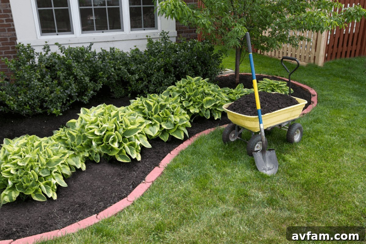 Yellow wheelbarrow filled with dirt and plants for yard